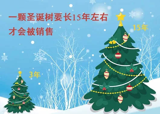 中國最早報道圣誕節(jié)的竟是《人民日報》，你不知道的10個圣誕小知識